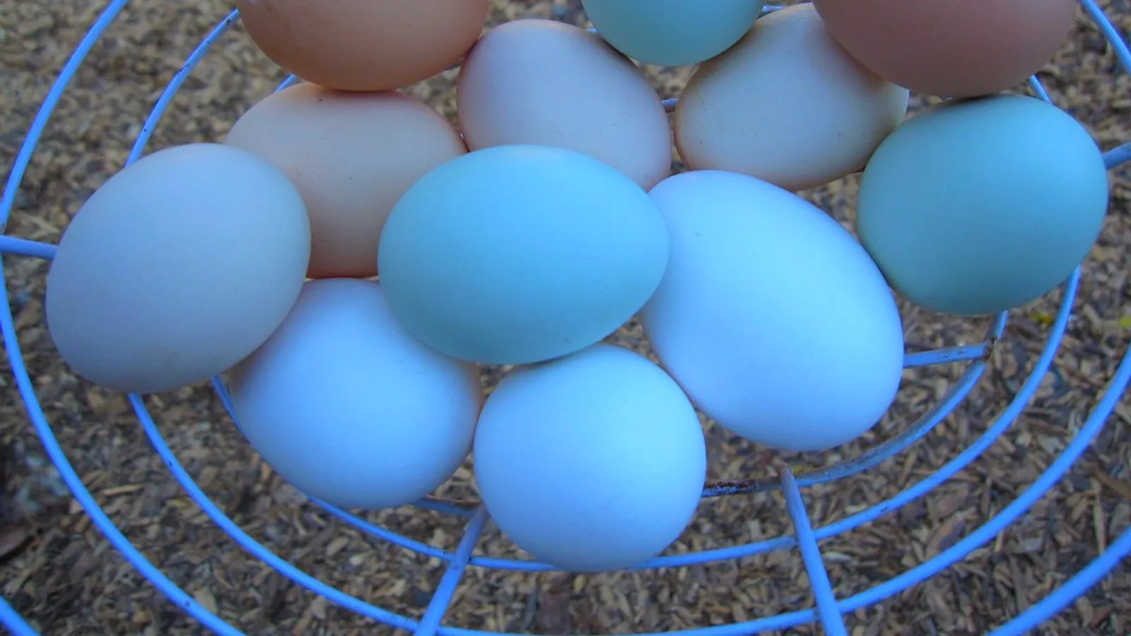 Portfolio Diversification: How Spreading Risk Works